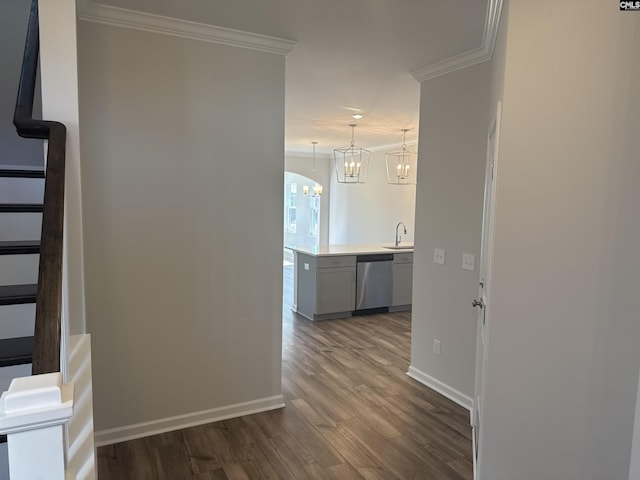 hall featuring baseboards, dark wood finished floors, ornamental molding, a notable chandelier, and a sink