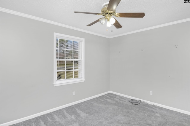 spare room featuring carpet floors, a ceiling fan, and ornamental molding