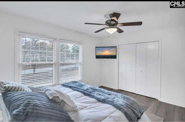 bedroom with ceiling fan, a closet, and wood finished floors