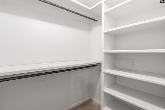 spacious closet featuring carpet floors