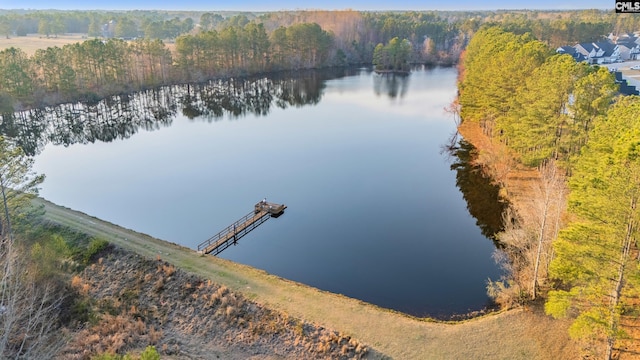 drone / aerial view with a view of trees and a water view