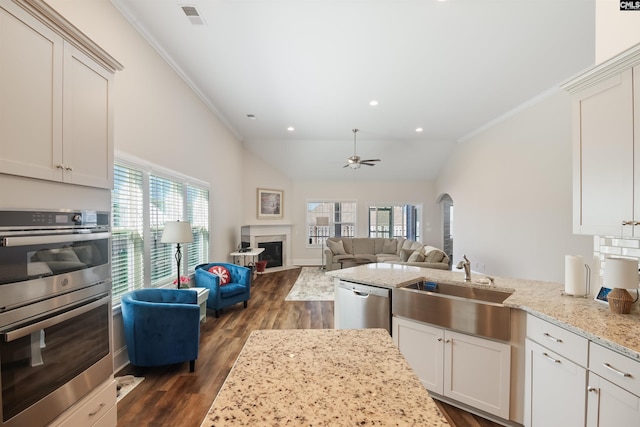 kitchen with visible vents, a sink, dark wood finished floors, stainless steel appliances, and ceiling fan