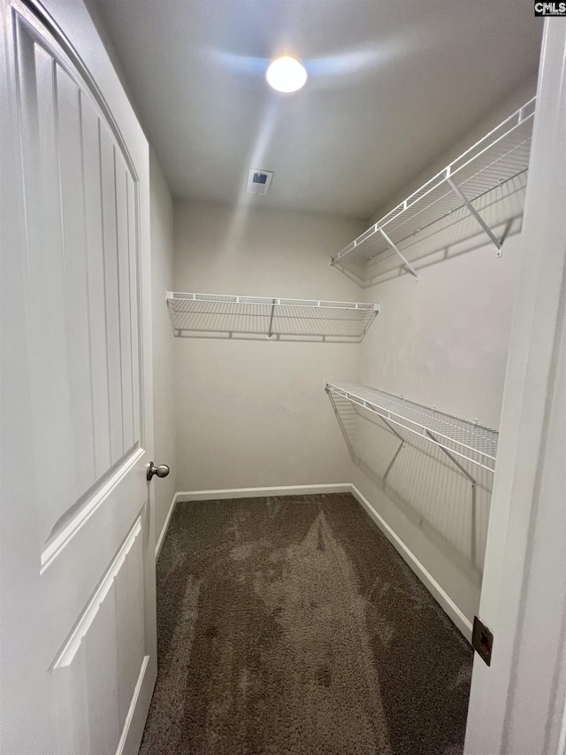 walk in closet with visible vents and carpet floors