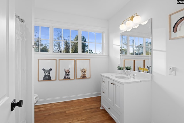 bathroom featuring baseboards, wood finished floors, and vanity