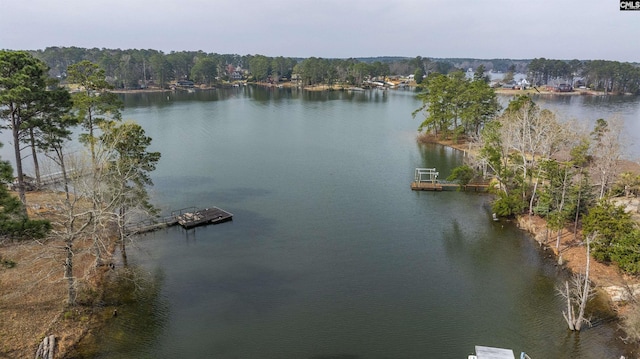 property view of water with a floating dock