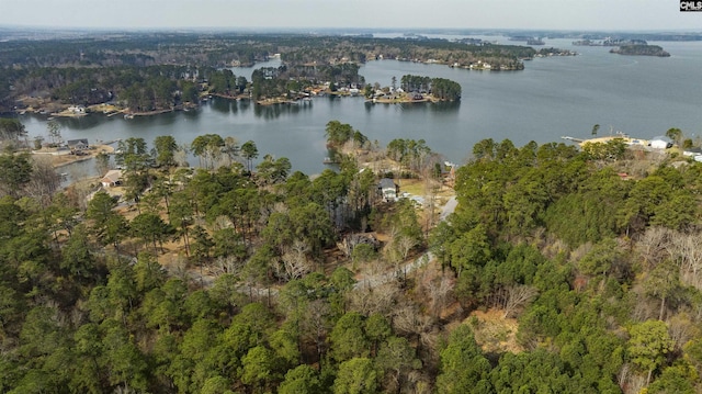 aerial view with a water view and a view of trees