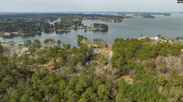 drone / aerial view with a wooded view and a water view