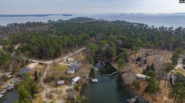 birds eye view of property featuring a view of trees and a water view