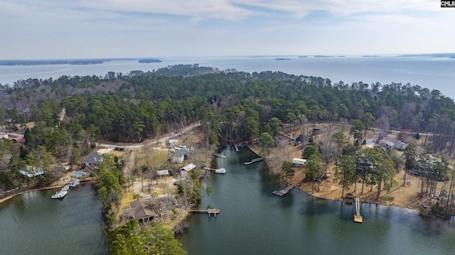 drone / aerial view featuring a forest view and a water view