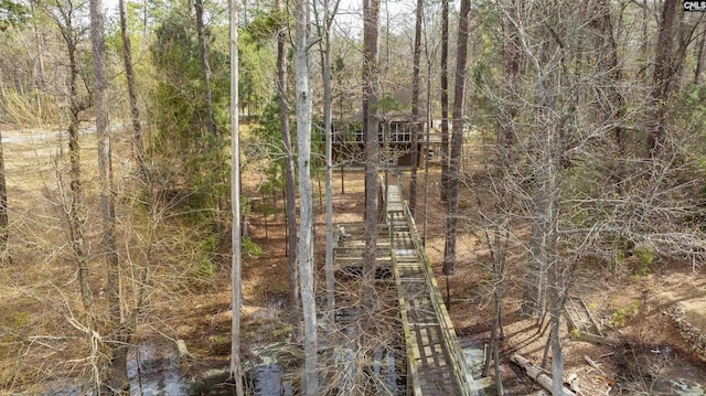 view of nature featuring a forest view