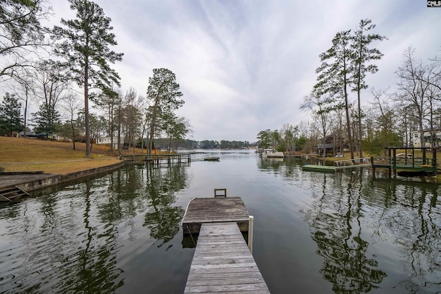 dock area with a water view