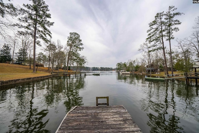 dock area with a water view