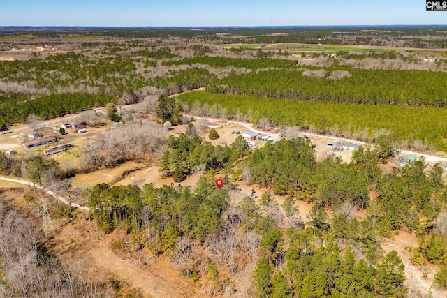 aerial view with a rural view