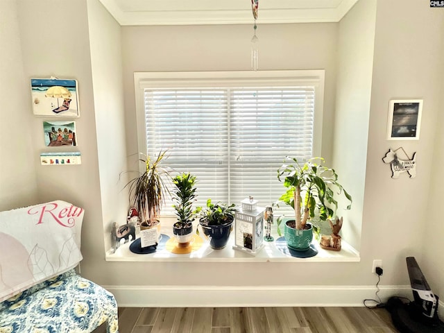 interior details featuring crown molding, wood finished floors, and baseboards