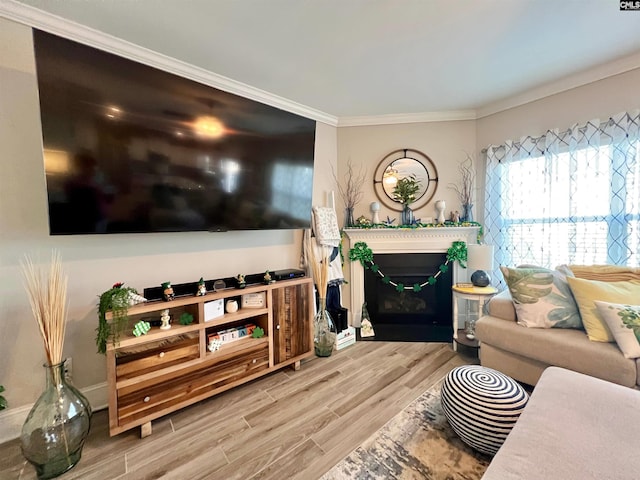 living area featuring a glass covered fireplace, crown molding, and wood finished floors