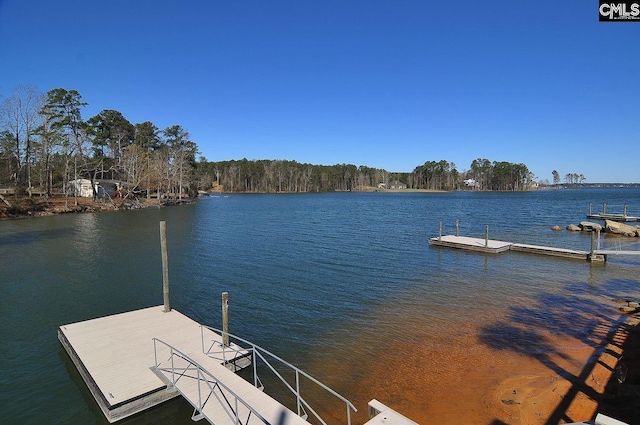 dock area with a water view