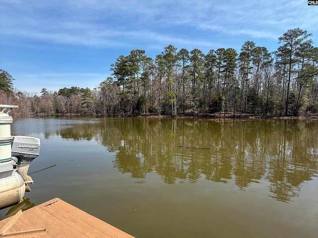 dock area with a view of trees and a water view