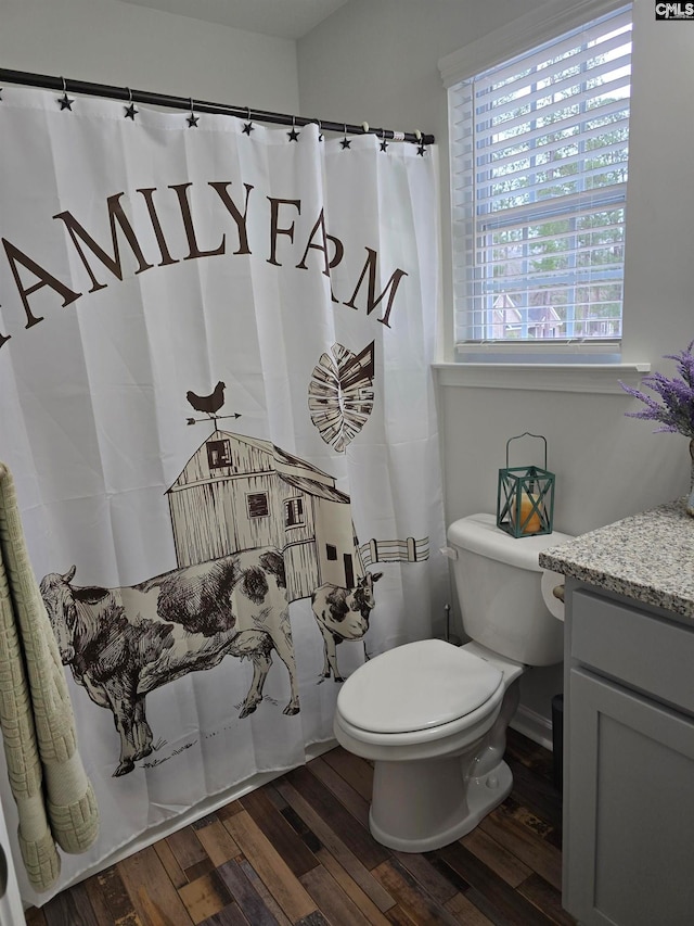 full bath featuring toilet, vanity, and wood finished floors