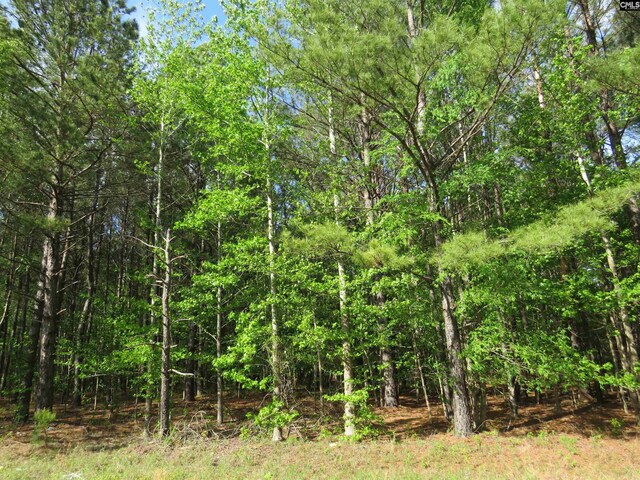 N/S Hallwood Rd Unit 4, Eastover, SC 29044