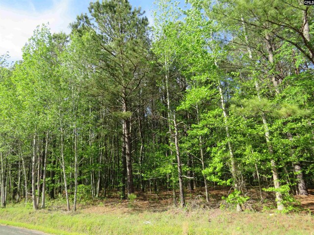 N/S Hallwood Rd Unit 4, Eastover, SC 29044