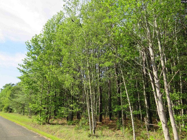N/S Hallwood Rd Unit 4, Eastover, SC 29044