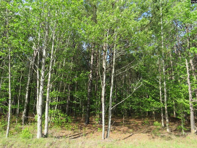 N/S Hallwood Rd Unit 4, Eastover, SC 29044
