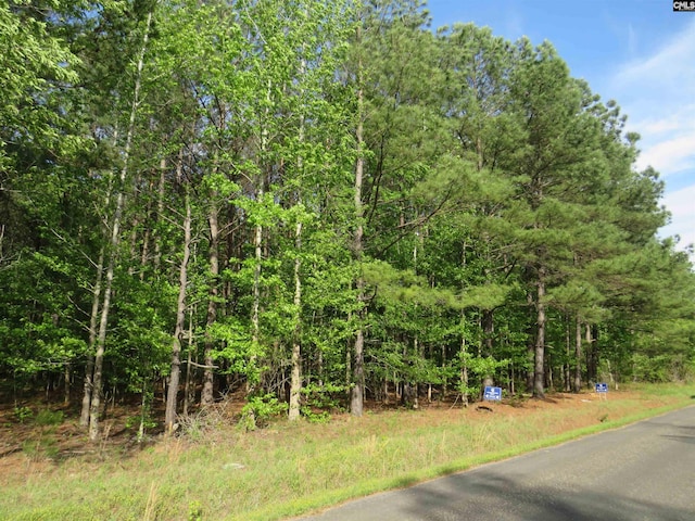 N/S Hallwood Rd Unit 4, Eastover, SC 29044
