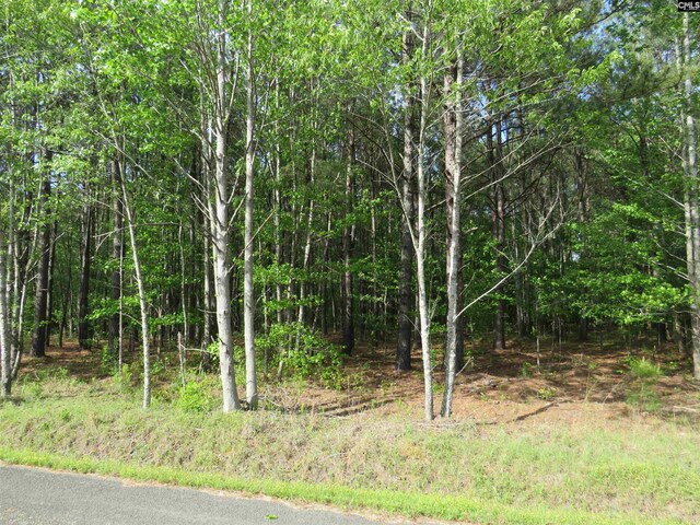 N/S Hallwood Rd Unit 4, Eastover, SC 29044