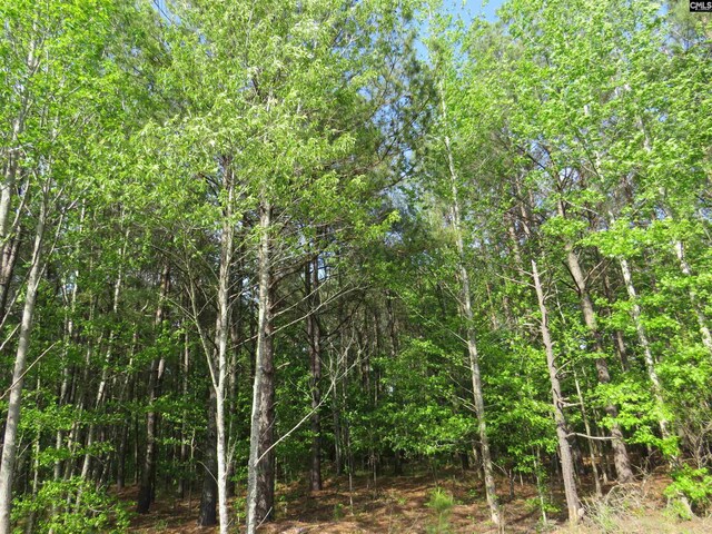 N/S Hallwood Rd Unit 4, Eastover, SC 29044