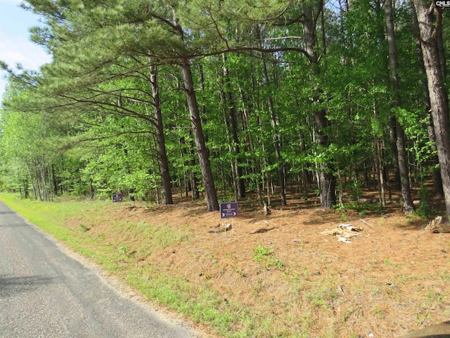 N/S Hallwood Rd Unit 4, Eastover, SC 29044