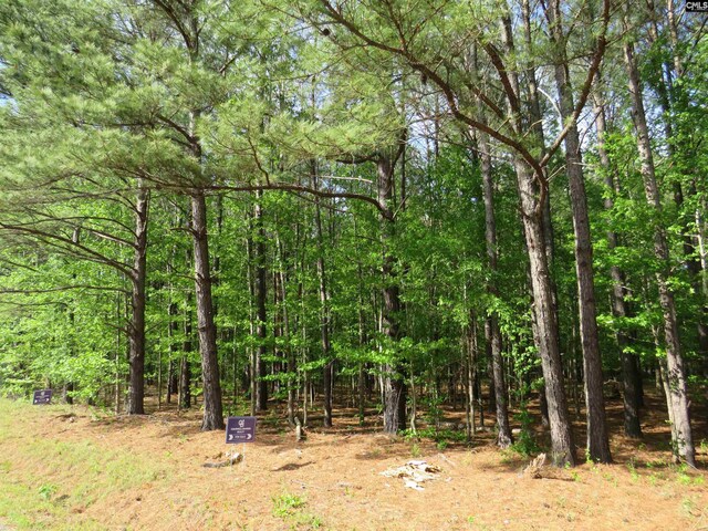 N/S Hallwood Rd Unit 4, Eastover, SC 29044