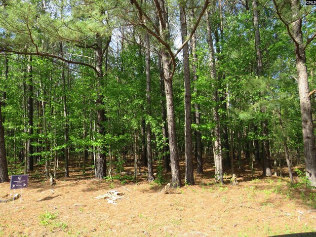 N/S Hallwood Rd Unit 4, Eastover, SC 29044