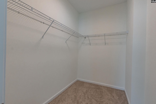 spacious closet with carpet