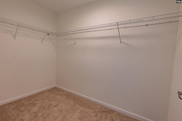 walk in closet with carpet