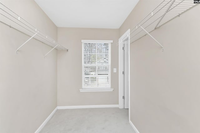 walk in closet featuring carpet