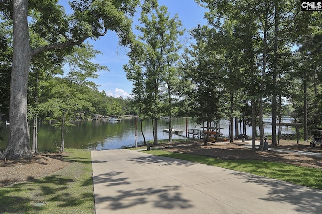 exterior space with a dock