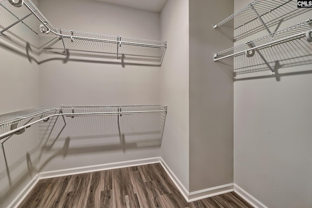 walk in closet featuring wood finished floors