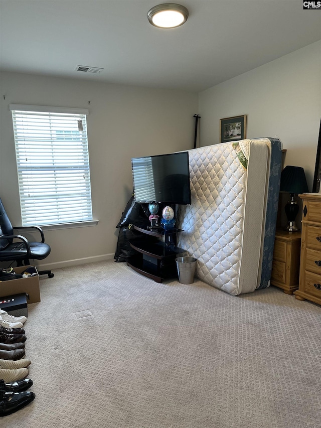 interior space with visible vents, baseboards, and carpet