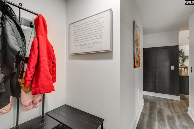mudroom featuring wood finished floors