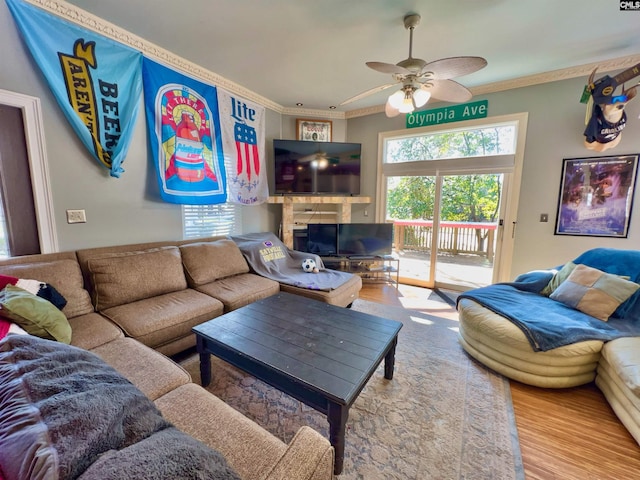 541 Georgia St, Columbia, SC 29201 - living area with plenty of natural light, crown molding, ceiling fan, and wood finished floors