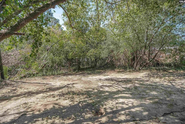 3500 Covenant Rd, Columbia, SC 29204 - view of nature with a view of trees