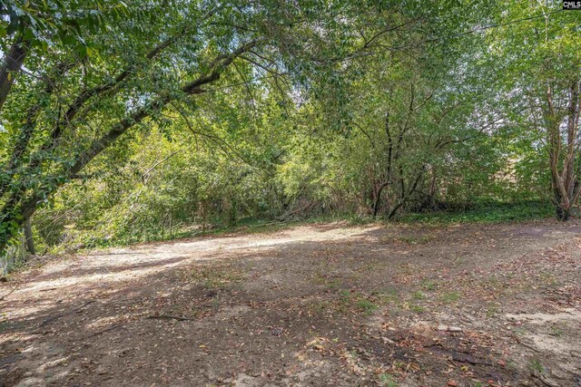 3500 Covenant Rd, Columbia, SC 29204 - view of nature with a view of trees