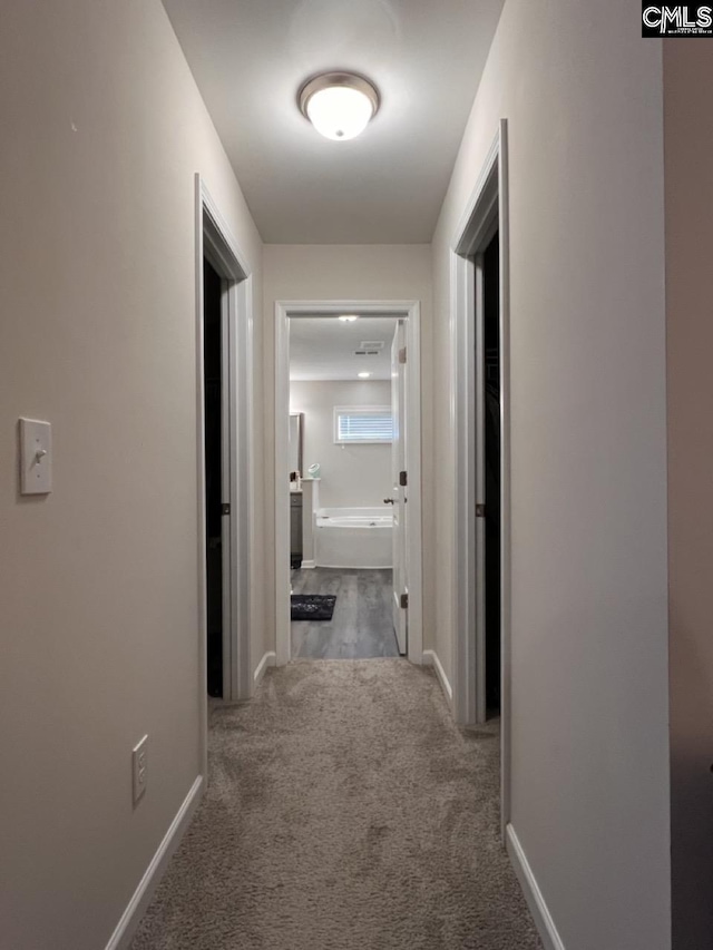 hall featuring baseboards and carpet floors
