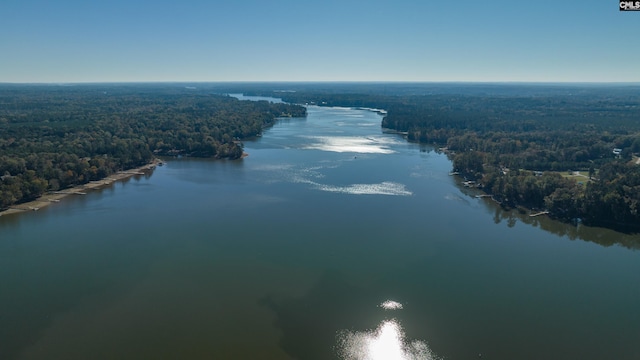 117 Peninsula Ct, Prosperity, SC 29127 - bird's eye view of a forest and a large body of water