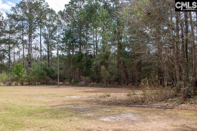 212/210 Nash Rd, Bishopville, SC 29010 - view of local wilderness