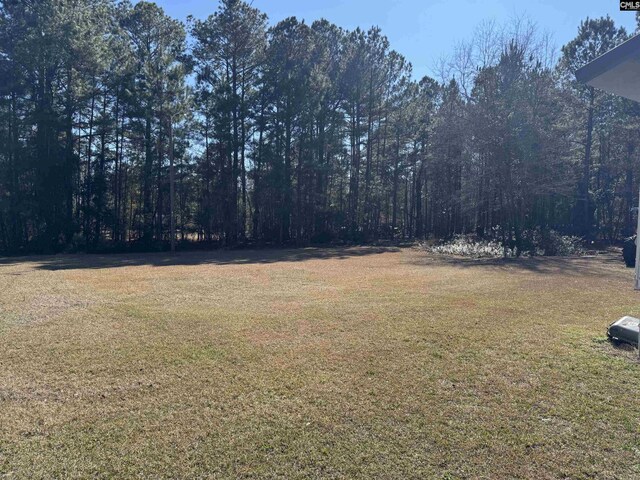 212/210 Nash Rd, Bishopville, SC 29010 - view of yard