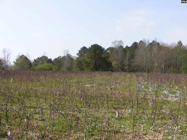 00 Dr Boylston Rd, Salley, SC 29137