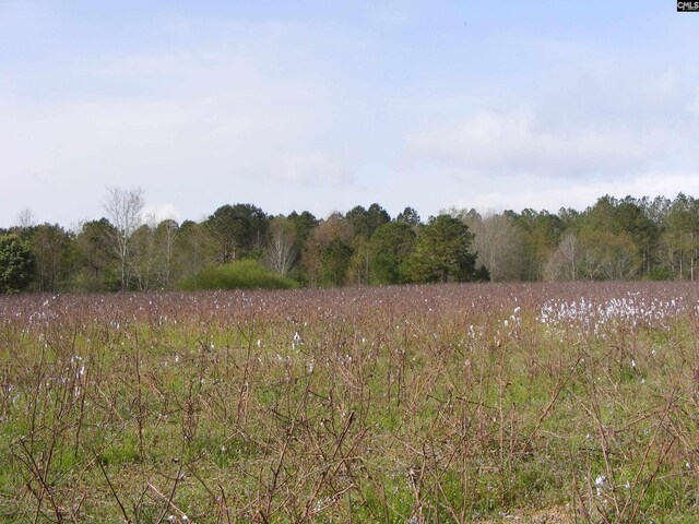 00 Dr Boylston Rd, Salley, SC 29137