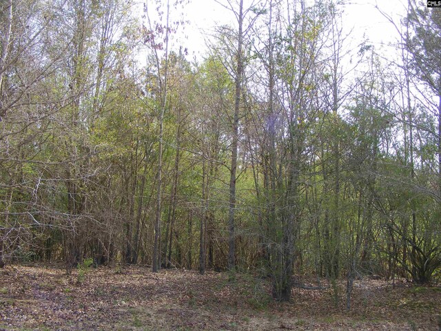 00 Dr Boylston Rd, Salley, SC 29137