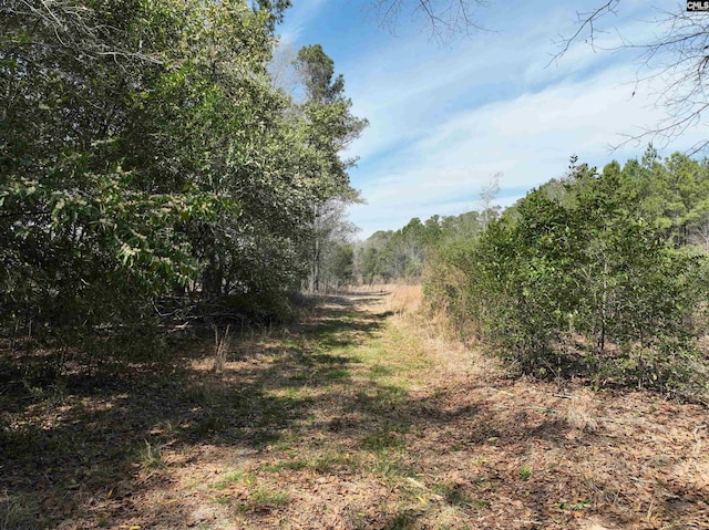 00 Dr Boylston Rd, Salley, SC 29137
